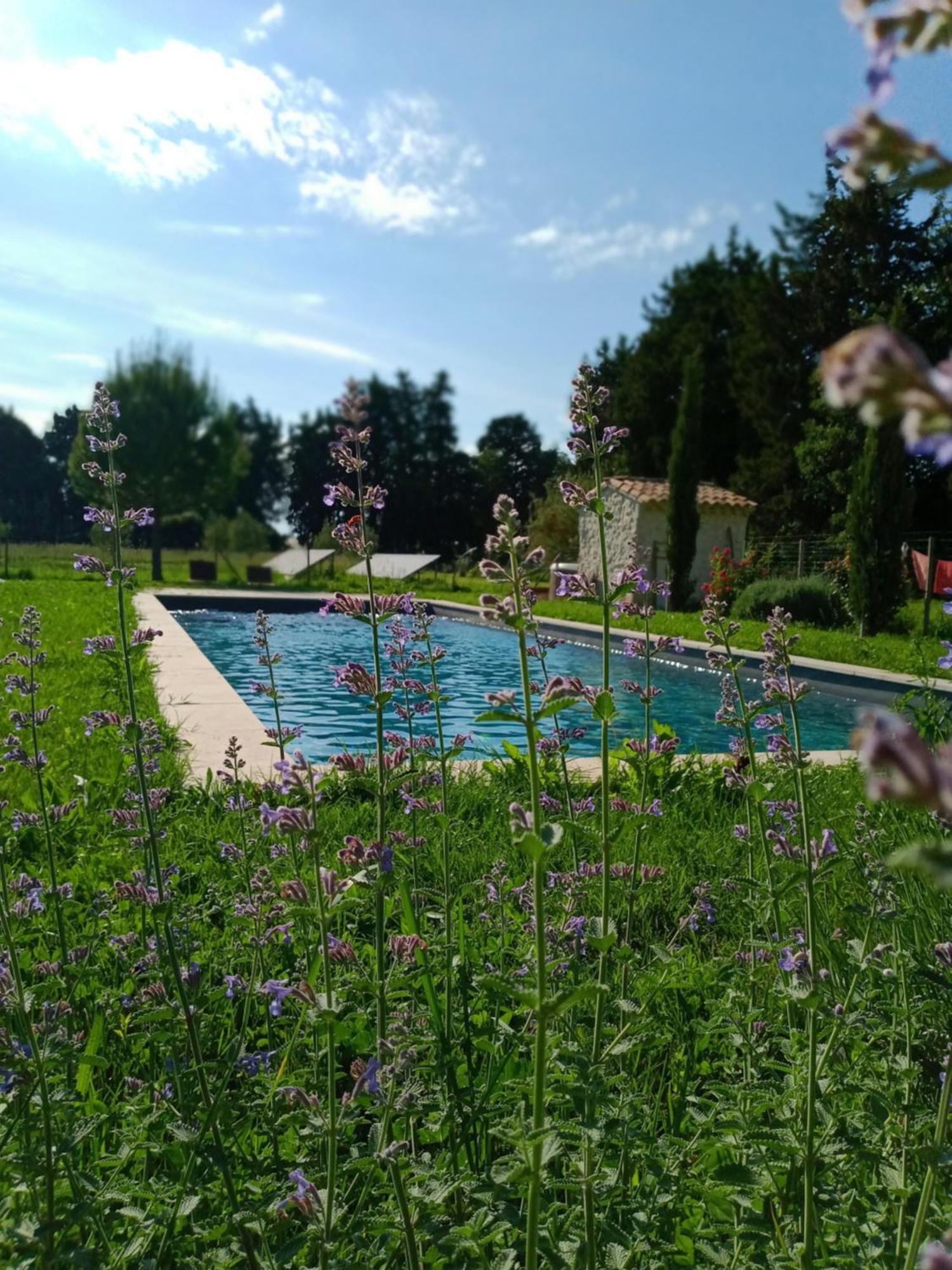 Mas De Karlotte Apartment Pernes-les-Fontaines Bagian luar foto