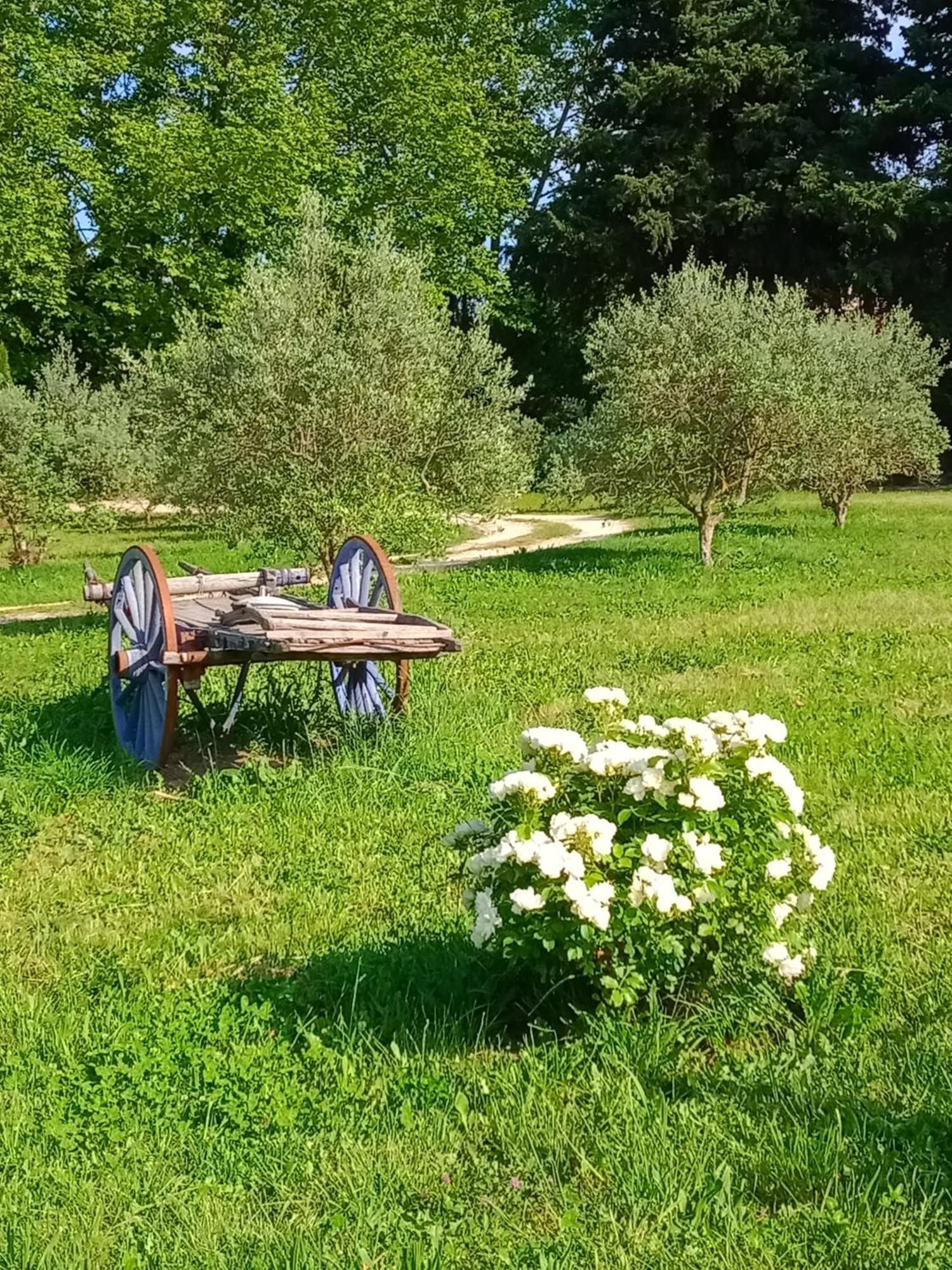 Mas De Karlotte Apartment Pernes-les-Fontaines Bagian luar foto